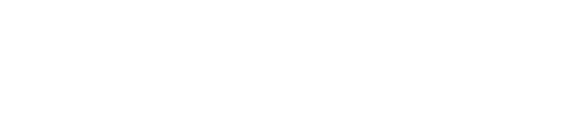 Kasra Dash